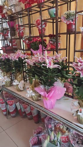 floricultura belém|Bem Me Quer Floricultura .